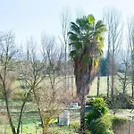Mi Casita